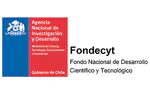 ¿Qué hay de nuevo en los feminismos chilenos?: Redes, ensamblajes e interseccionalidad en/de las luchas de las mujeres en el Chile actual